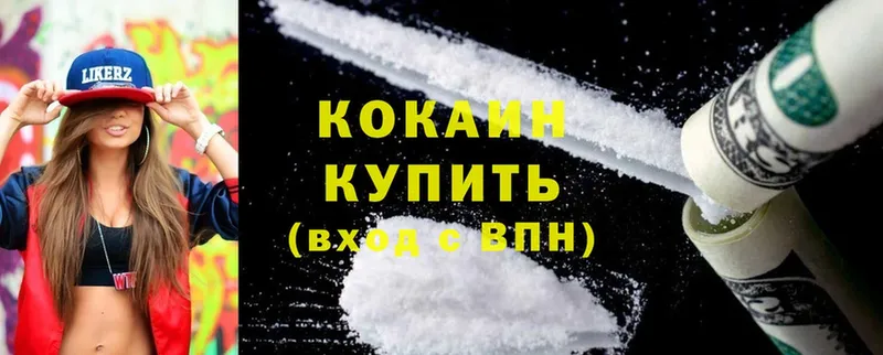 Cocaine Эквадор  купить закладку  Камышлов 